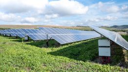 Solar Panels On Grass